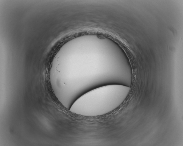 X0000114231495200910091317
