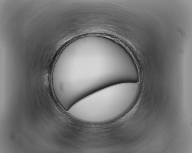 X0000114231497200910091317