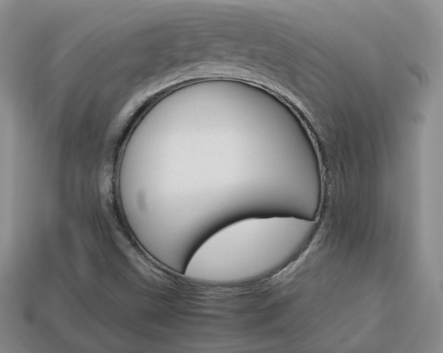 X0000114231499200910091317