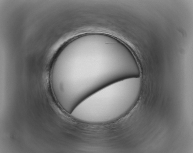 X0000114231503200910091317