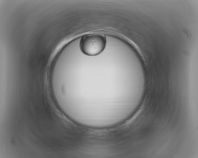 X0000114231506200910091317