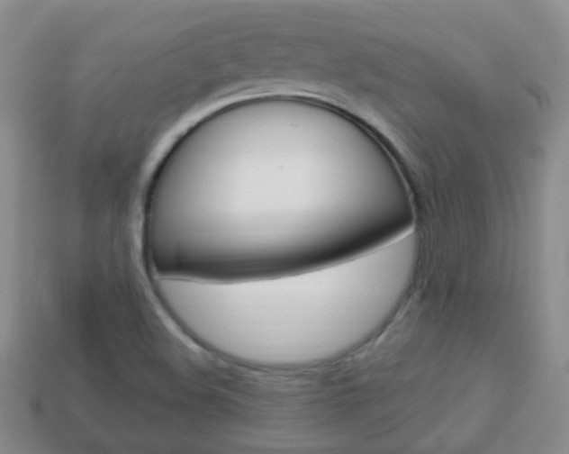 X0000114231508200910091317
