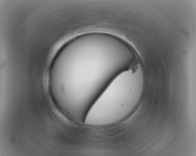 X0000114231511200910091317