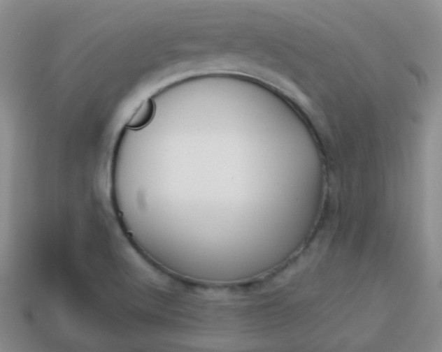 X0000114231512200910091317