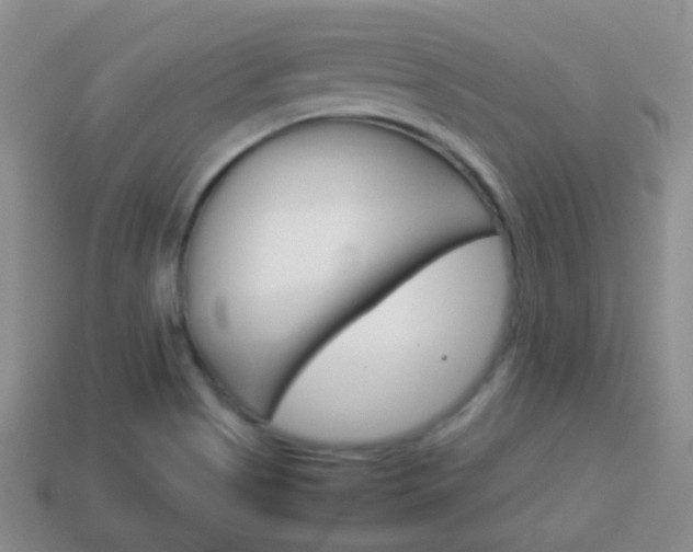 X0000114231513200910091317