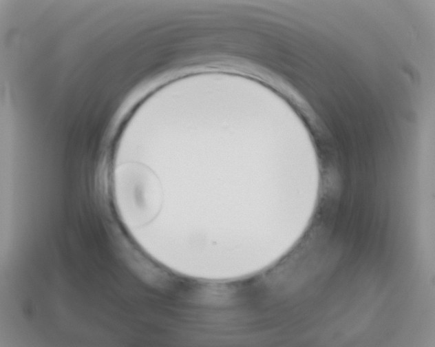 X0000114231514200910091317