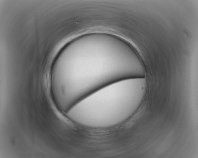 X0000114231515200910091317