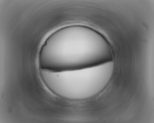 X0000114231516200910091317