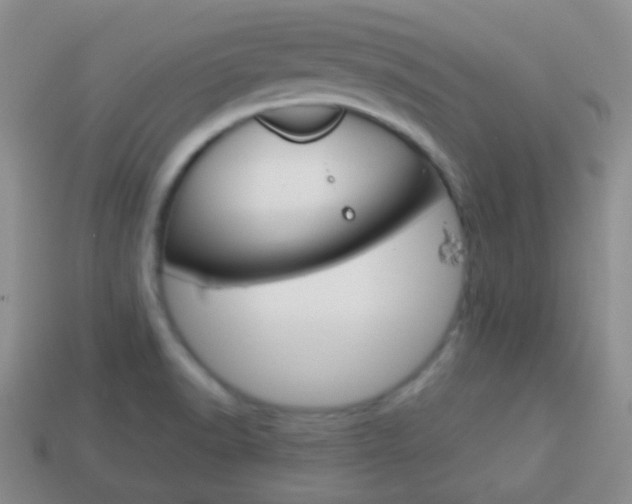 X0000114231518200910091317
