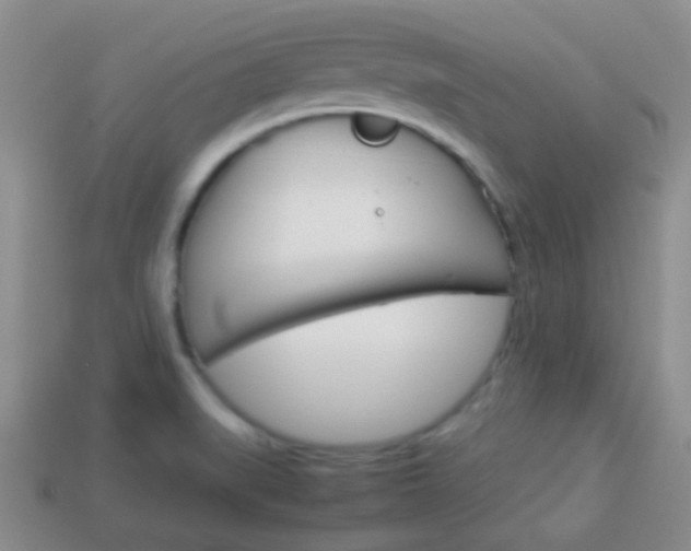 X0000114231519200910091317