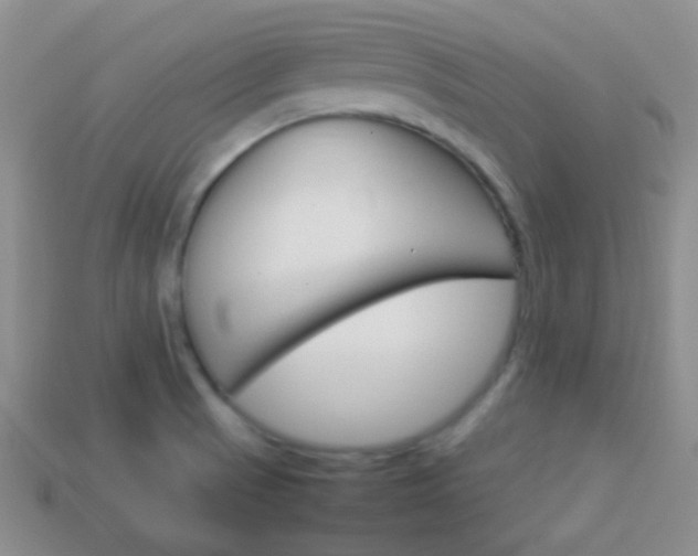 X0000114231521200910091317