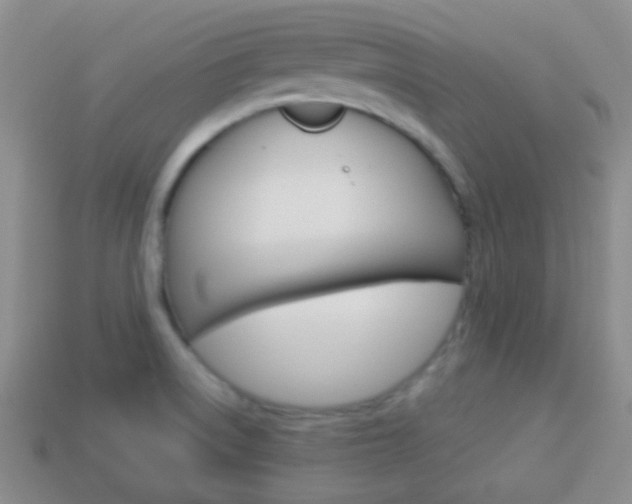 X0000114231522200910091317