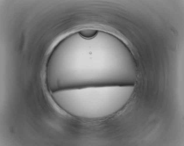 X0000114231523200910091317