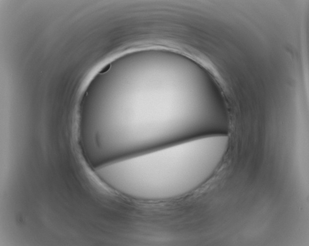 X0000114231524200910091317