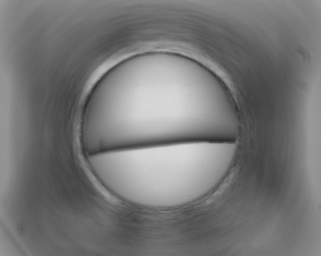 X0000114231525200910091317