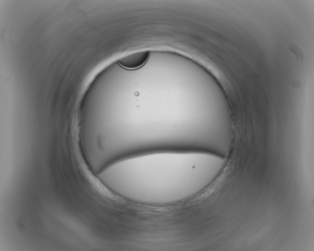 X0000114231526200910091317