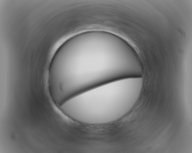 X0000114231527200910091317