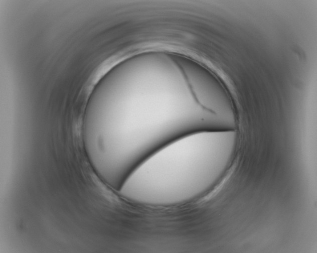 X0000114231529200910091317