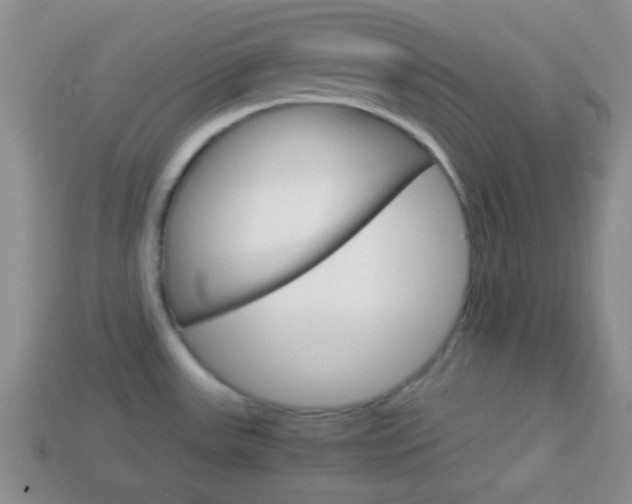 X0000114231531200910091317