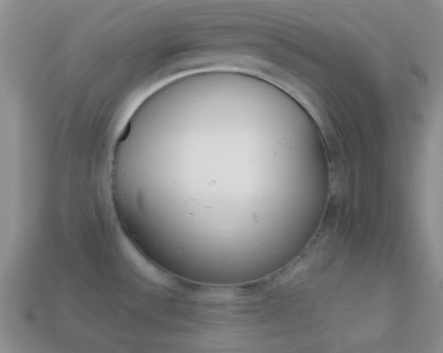 X0000114231532200910091317