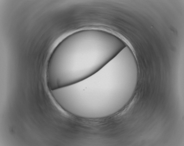 X0000114231533200910091317