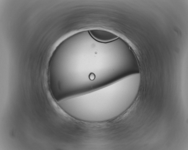 X0000114231534200910091317