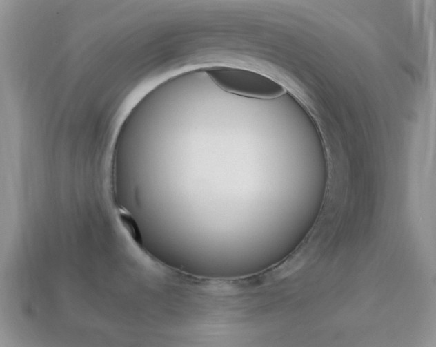 X0000114231536200910091317