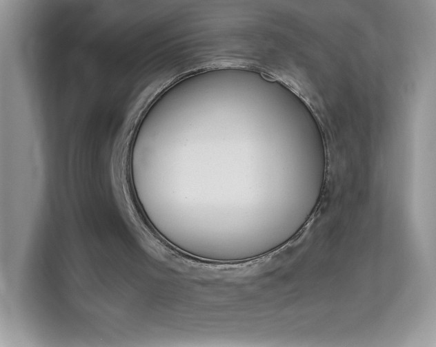 X0000114230001200910091458