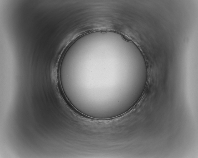 X0000114230002200910091458