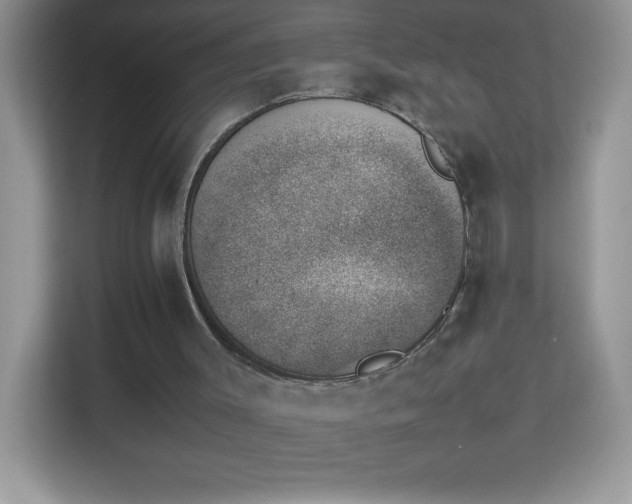 X0000114230003200910091458