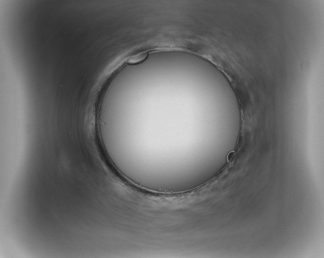 X0000114230005200910091458