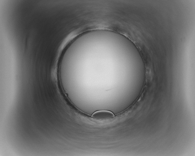 X0000114230006200910091458