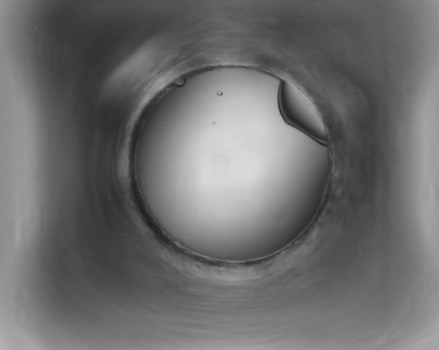 X0000114230008200910091458