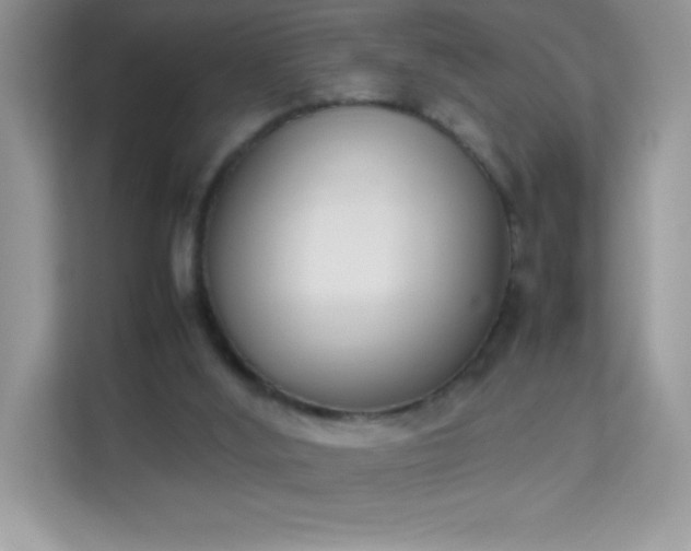 X0000114230012200910091458