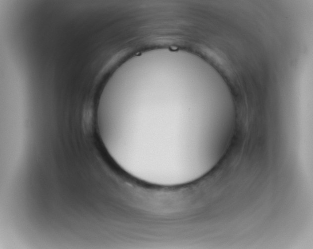 X0000114230016200910091457