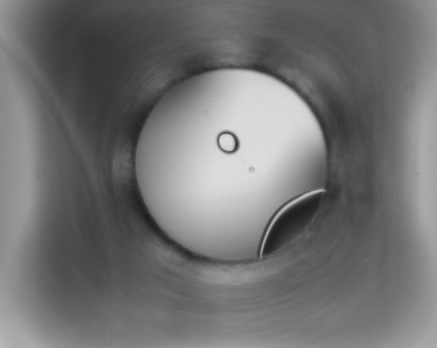 X0000114230017200910091457