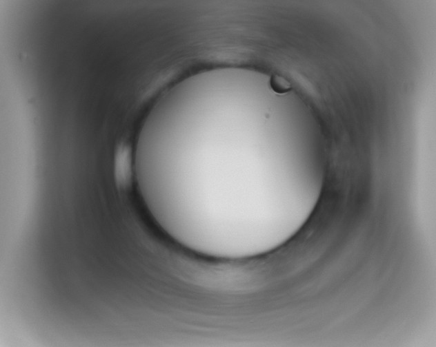 X0000114230020200910091457