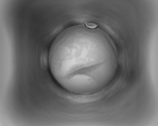 X0000114230023200910091457