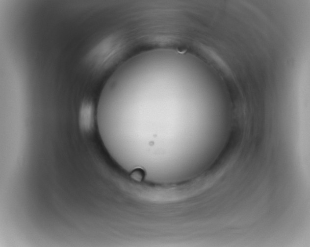 X0000114230024200910091457