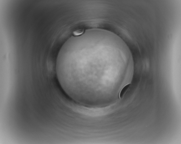 X0000114230031200910091457