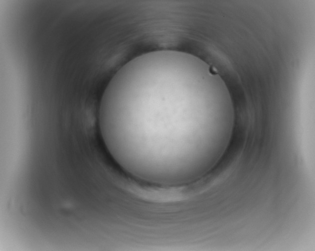 X0000114230032200910091457