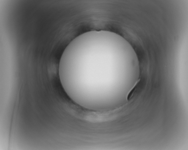 X0000114230033200910091457