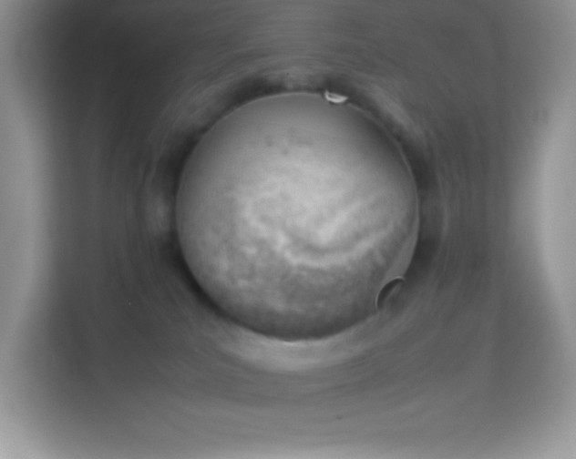 X0000114230039200910091457