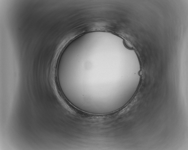 X0000114230049200910091456
