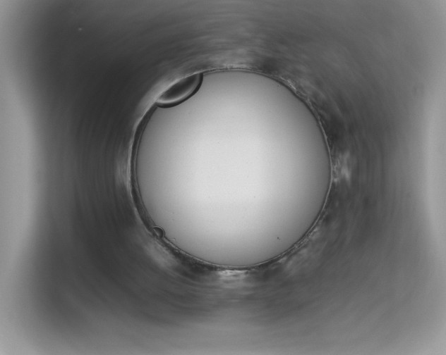 X0000114230052200910091456