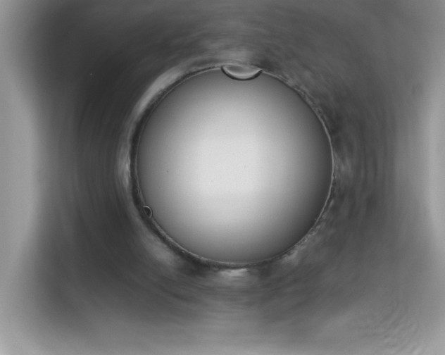 X0000114230054200910091456