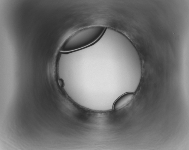 X0000114230056200910091457