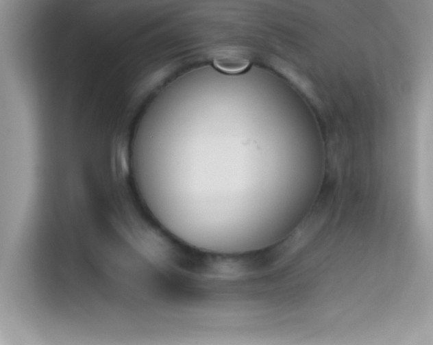 X0000114230062200910091457