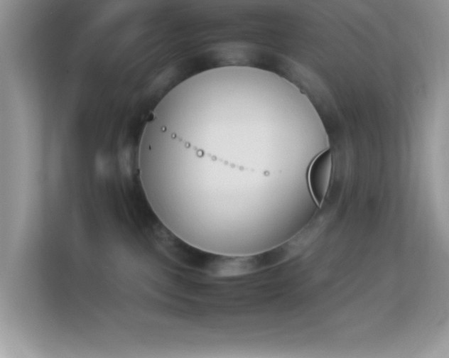X0000114230093200910091457