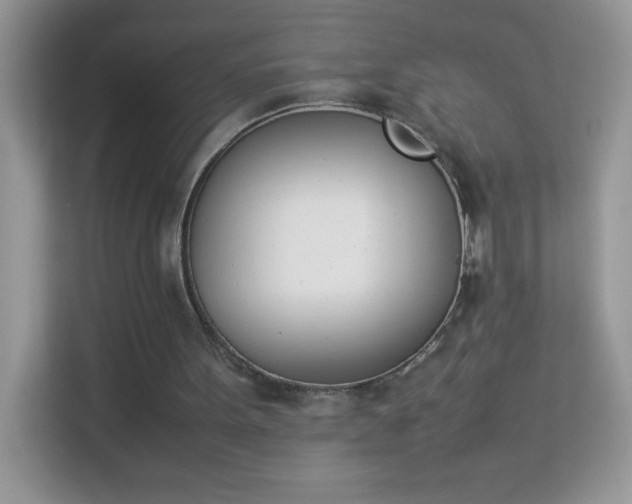 X0000114230099200910091456